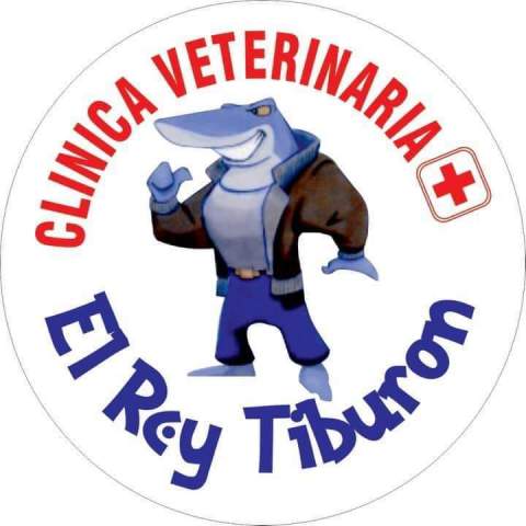 Elreytiburón_logo